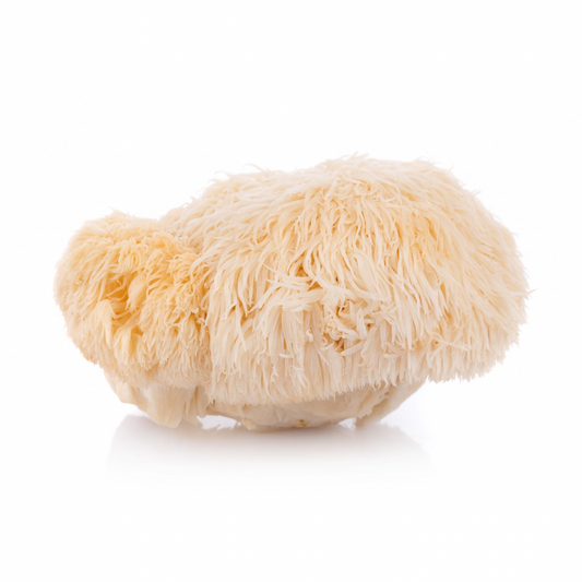 Lions Mane Paddenstoelen 